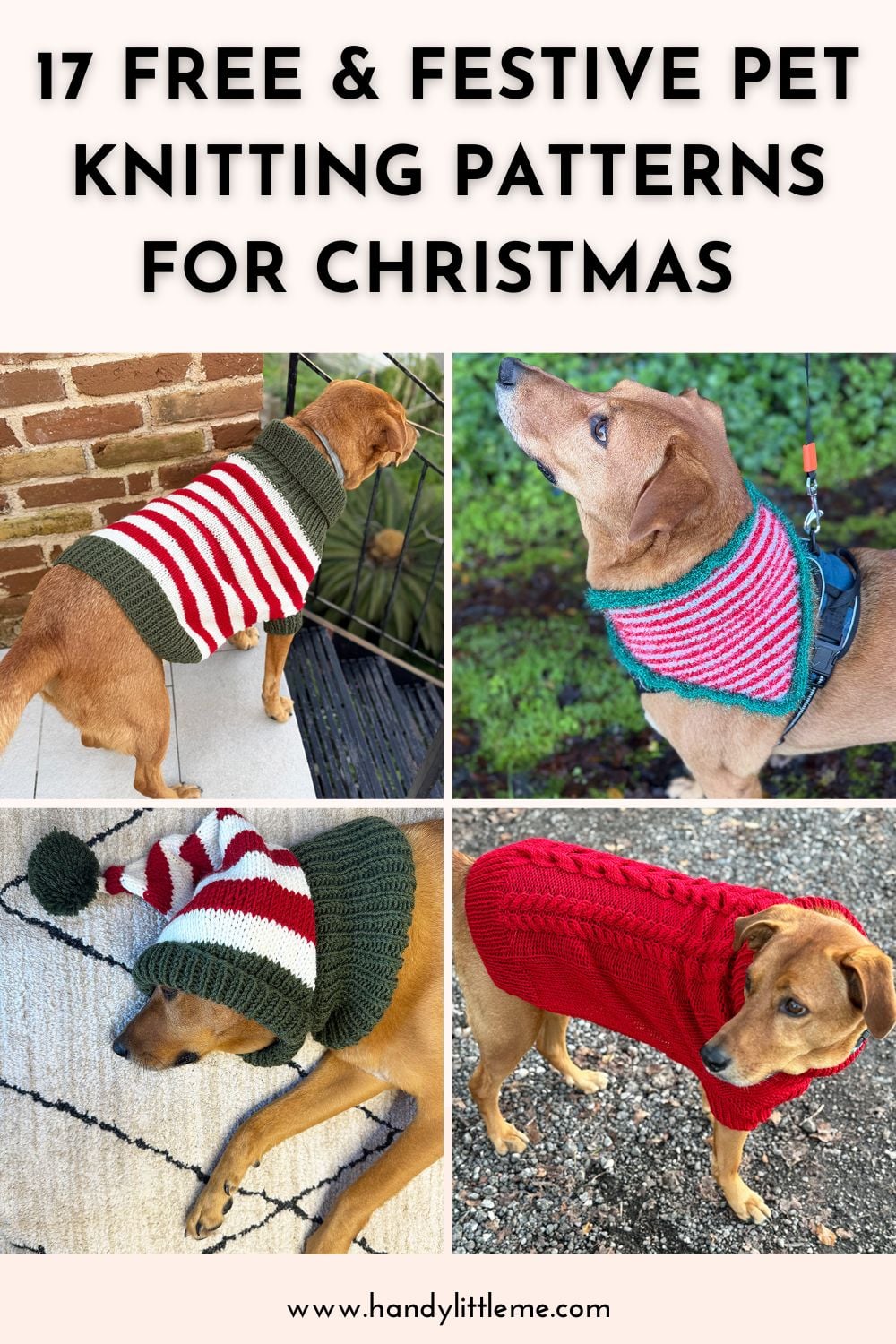 17 Free Pet Knitting Patterns for Christmas