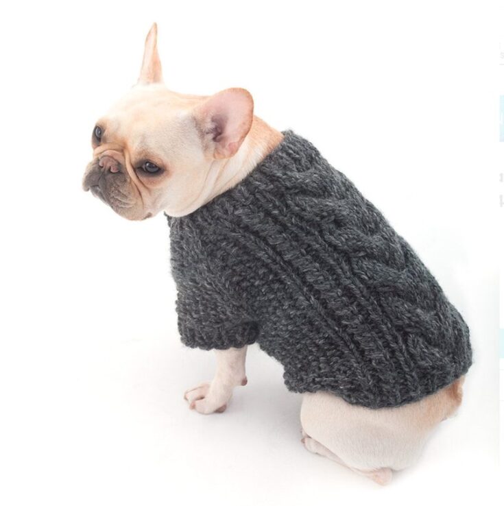 dog sweater