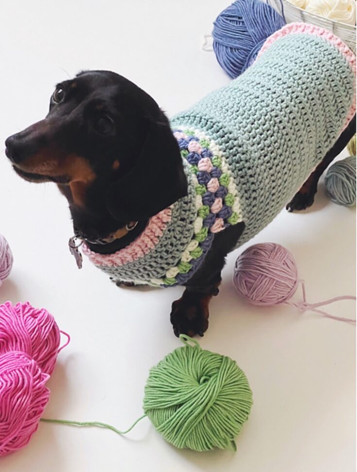 Bertie's Jumper by Sandra Paul