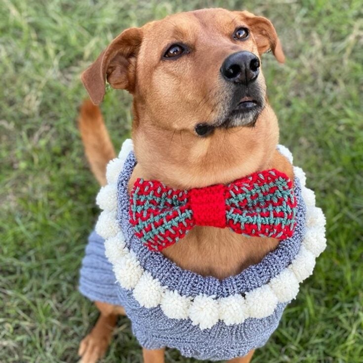 Bow Tie Knitting Pattern