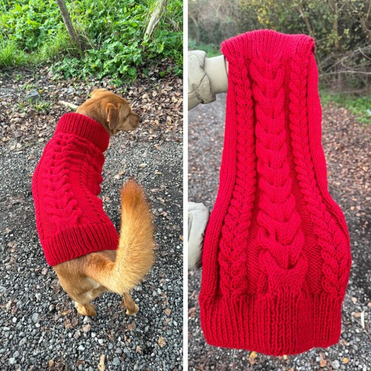 Cable knit dog sweater feat image