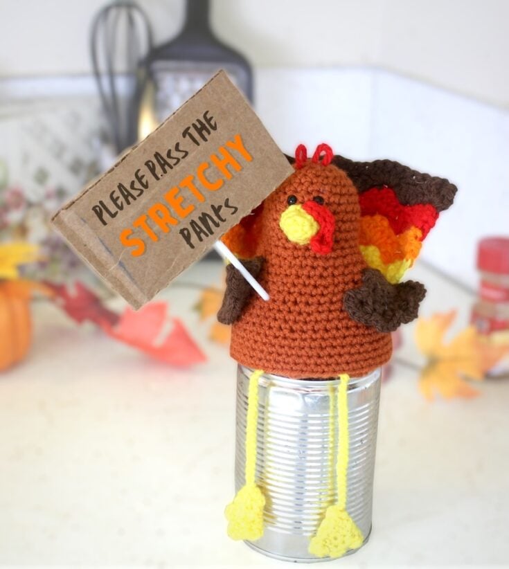 Chicken / Thanksgiving Turkey Amigurumi by Stringy Ding Ding