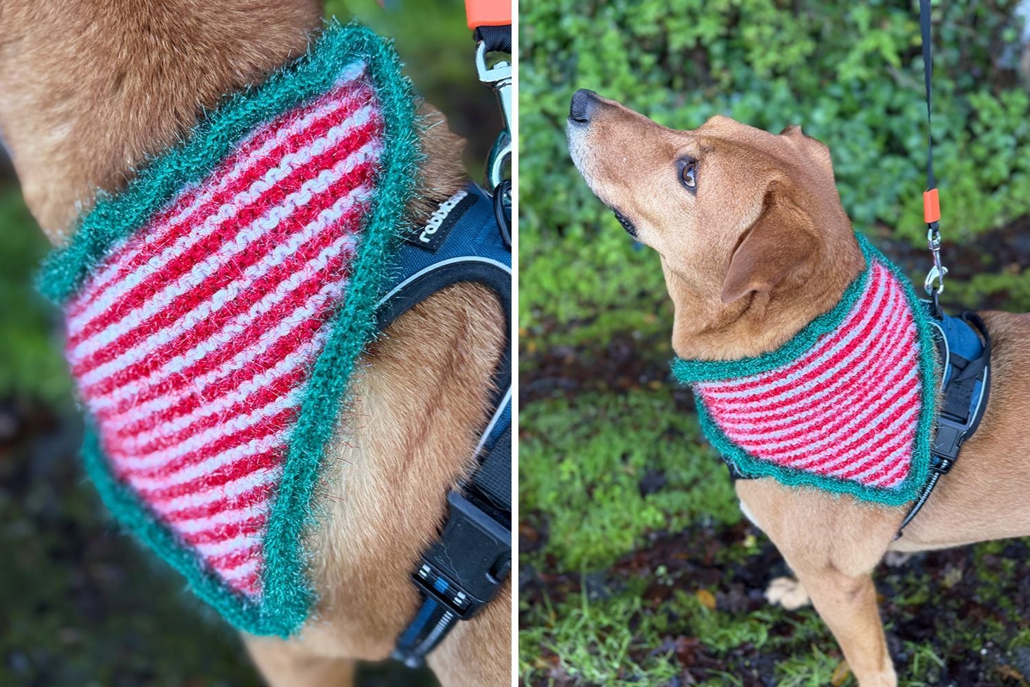 Christmas Elf Dog Bandana Knitting Pattern