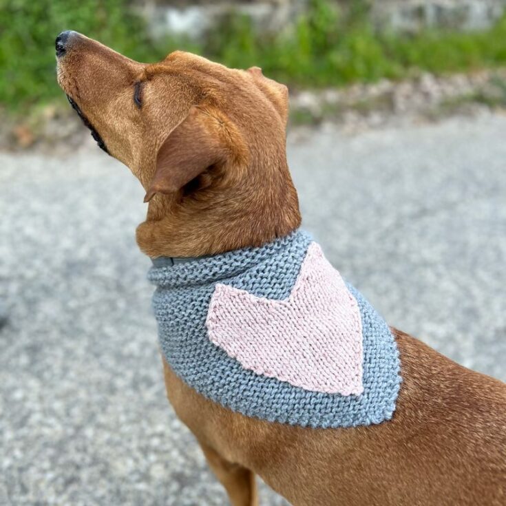 Dog bandana feat image 2