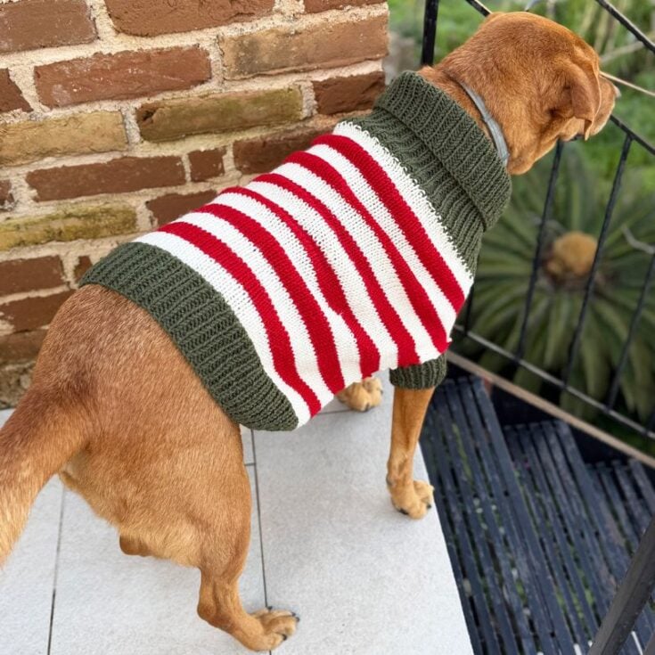Elf Dog Sweater Knitting Pattern feat image