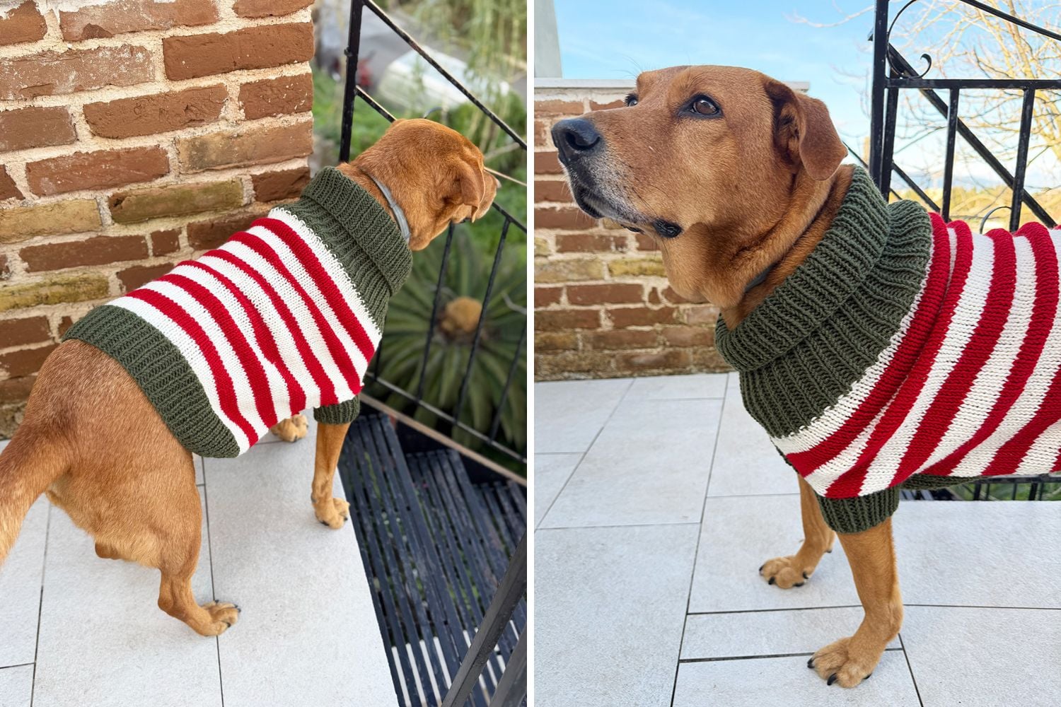 Elf stripe knitted dog sweater