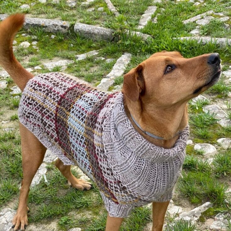 Fraser Tartan Dog Sweater Pattern