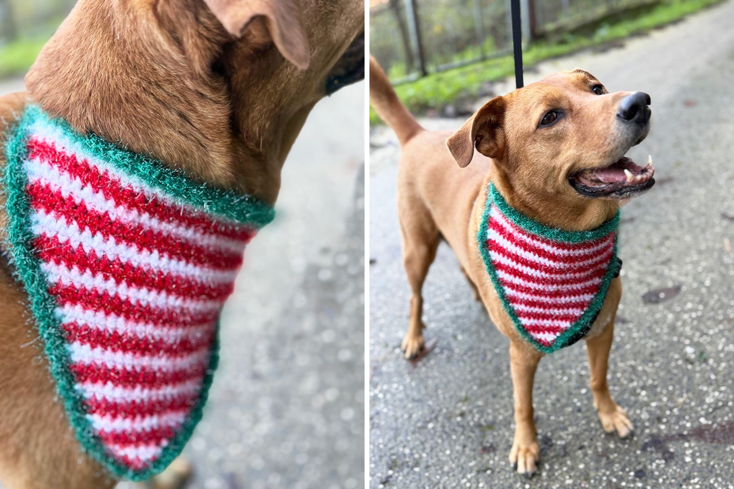 Free Christmas Crochet dog bandana