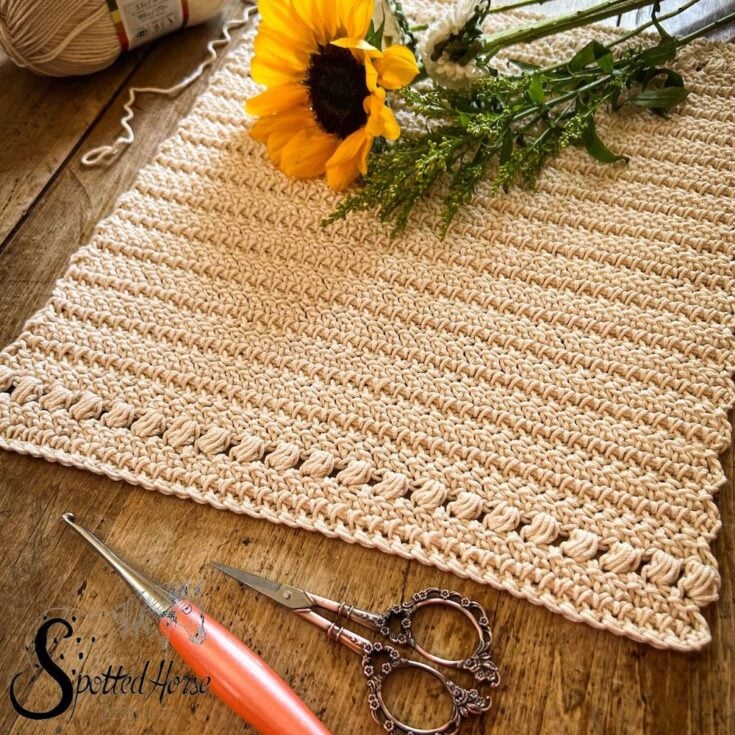Free Crochet Placemat Pattern by Spotted Horse Design Co
