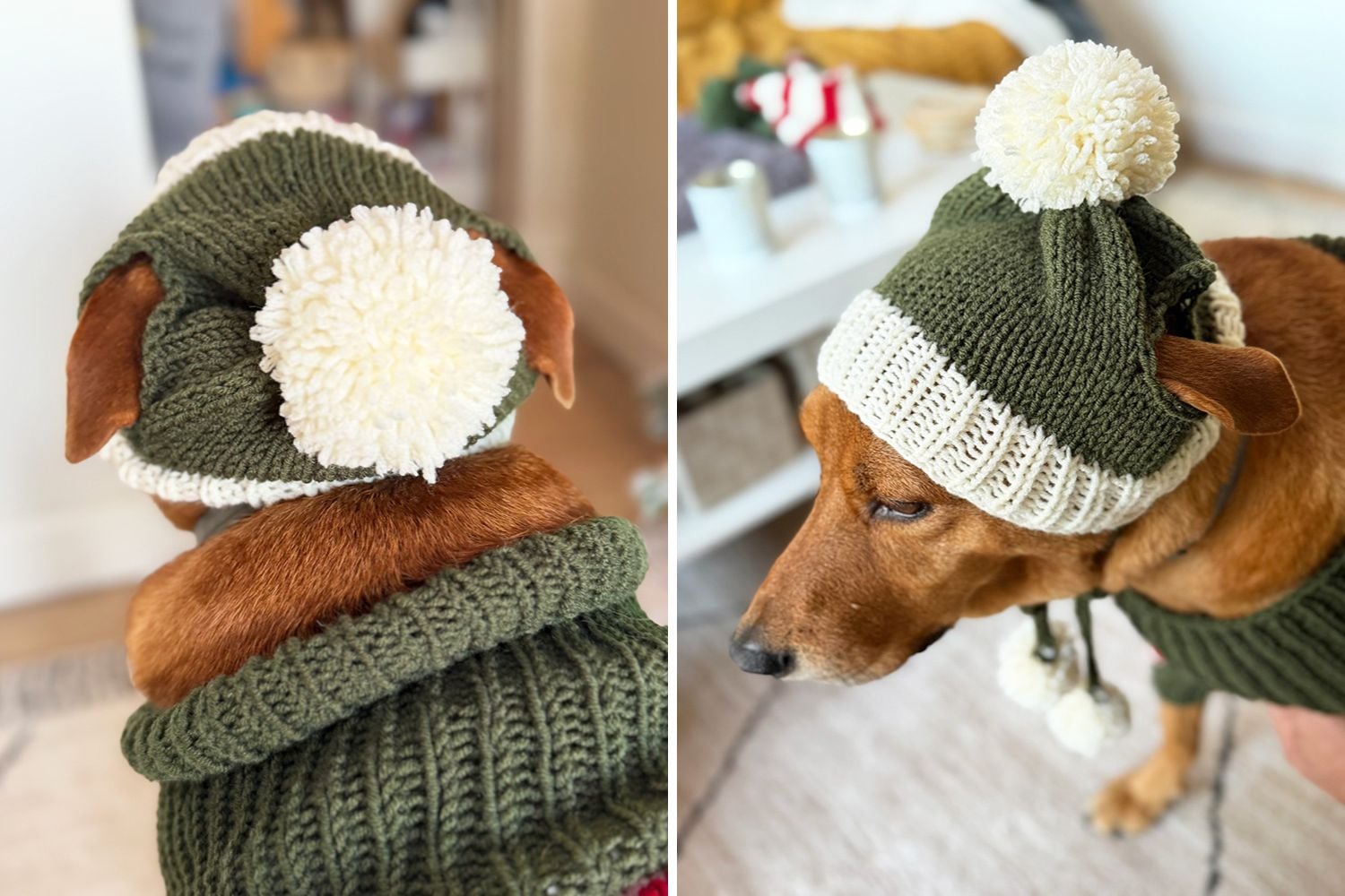Free Dog Hat Knitting Pattern