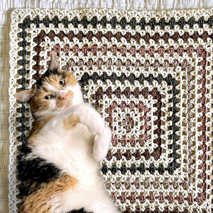 Image for Granny V Stitch Cat Blanket by Courtney McFarland