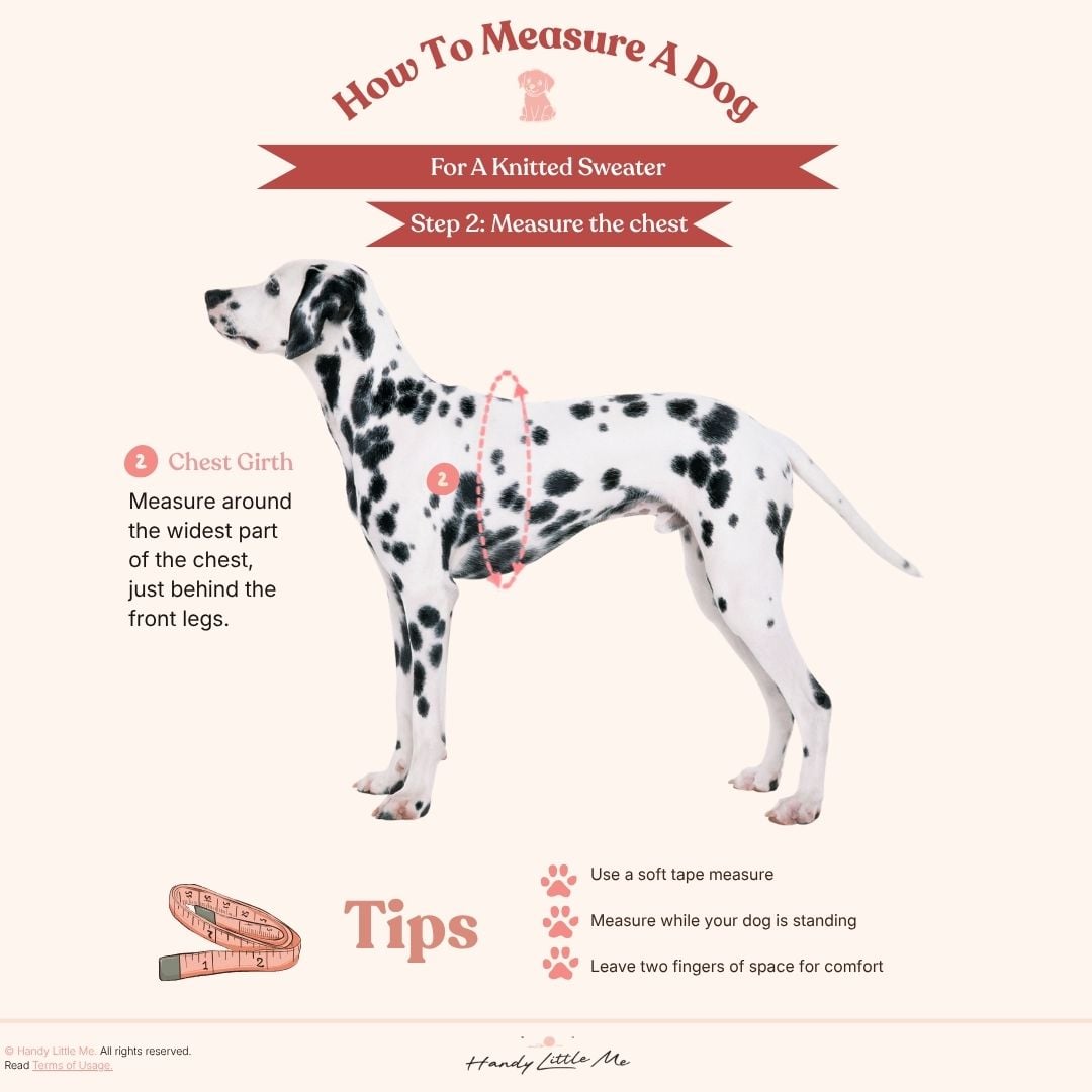 How to measure a dog step 2