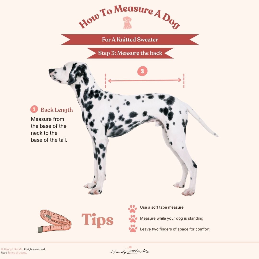 How to measure a dog step 3