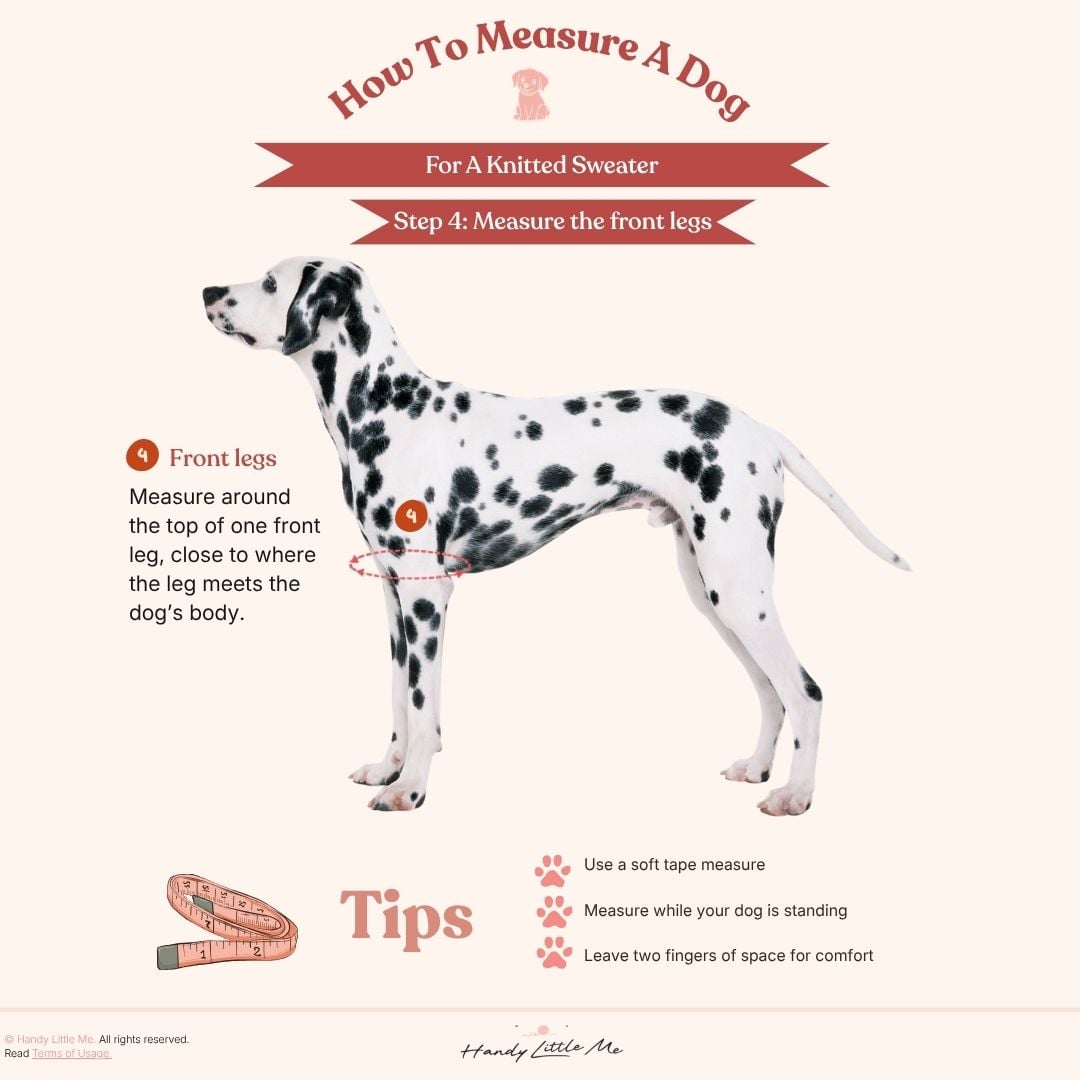 How to measure a dog step 4