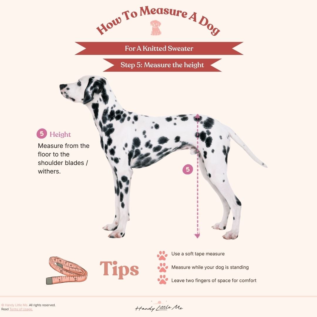 How to measure a dog step 5