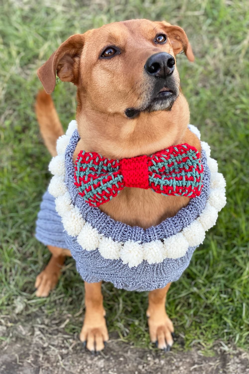 Pet Knitting Patterns Archives - Handy 