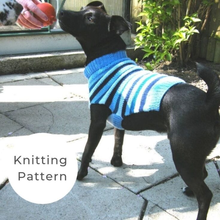 Dog sweater pattern