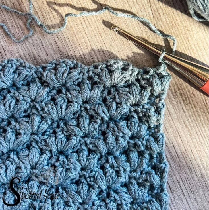 Lotus Crochet Stitch Tutorial by Spotted Horse Design Co