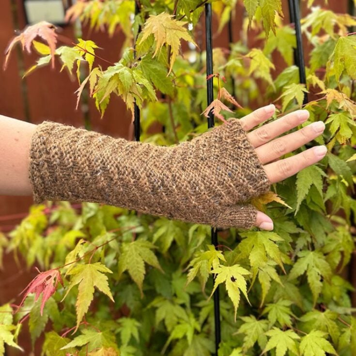 Mist of the highlands mitts feat image
