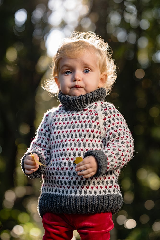 Norwegian sweater pattern