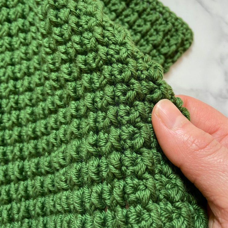 Pollyanna Dishcloth by Capital Crochet