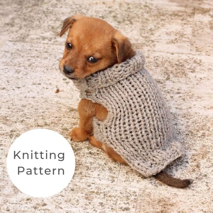 Puppy sweater pattern