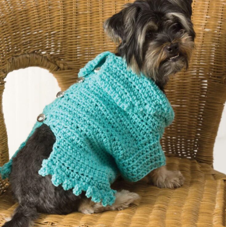 Red Heart Doggie Snuggle-Up Sweater Pattern by Yarnspirations