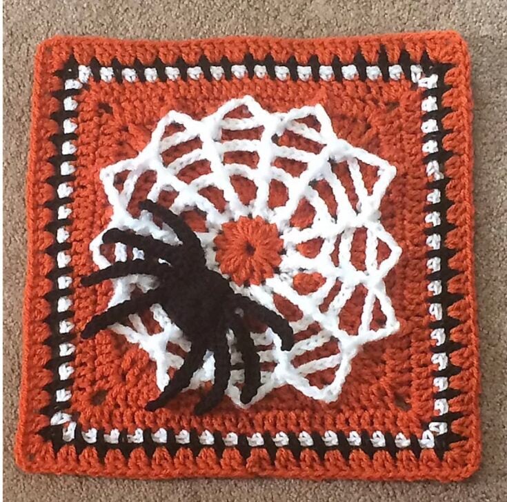 Spider Web Afghan Block by Julie Yeager
