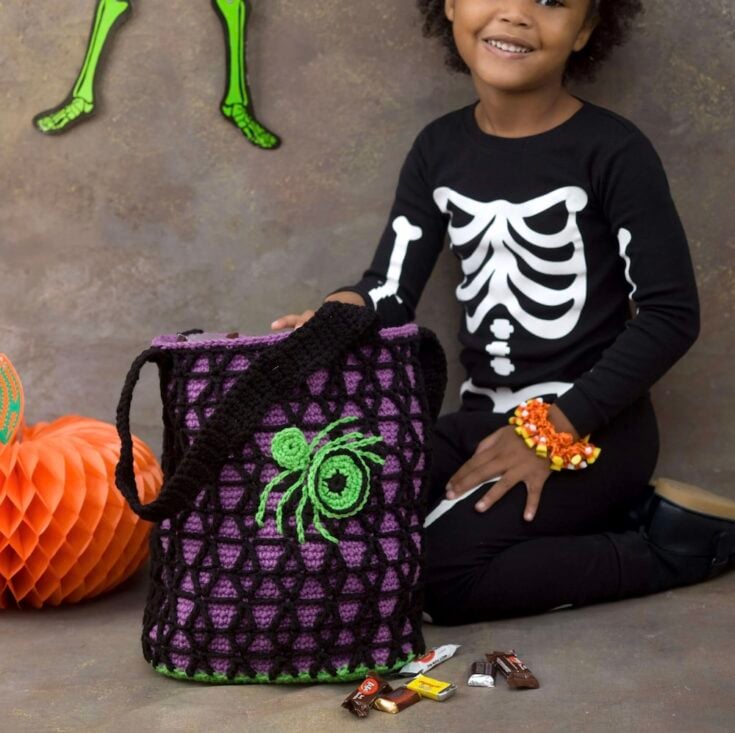 Spider Webby Bag by Ellen Gormley for Red Heart