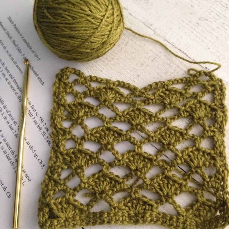 The Shell Trellis Stitch by Desert Blossom Crafts