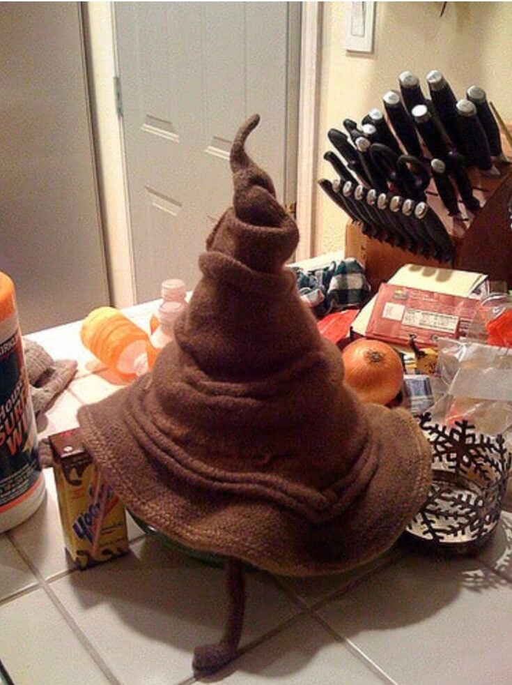 The Sorting Hat Pattern by Diane Scott