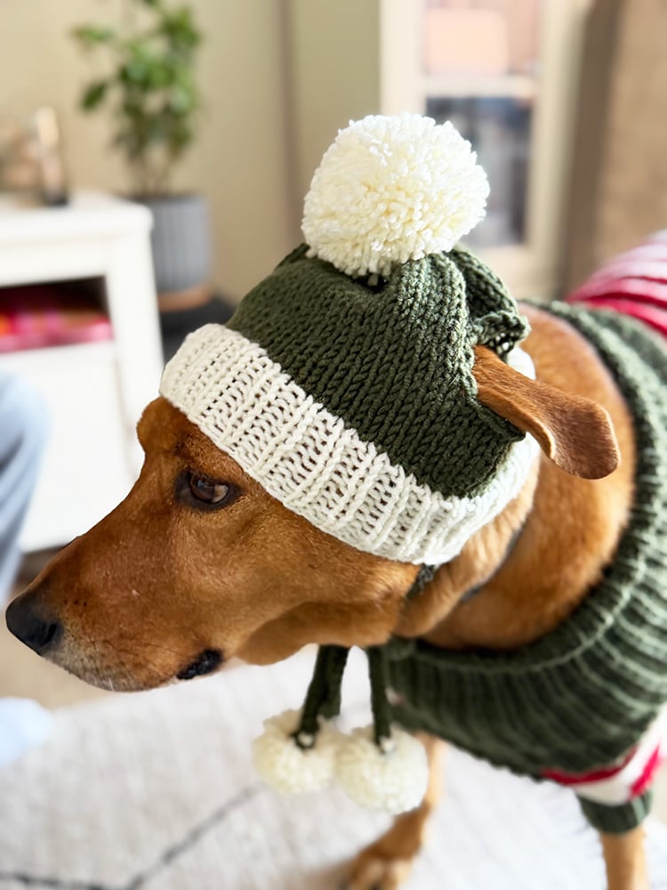 dog bobble beanie
