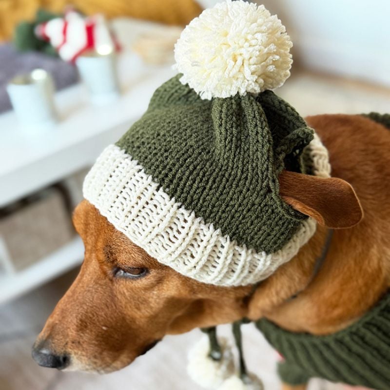 dog hat featured image