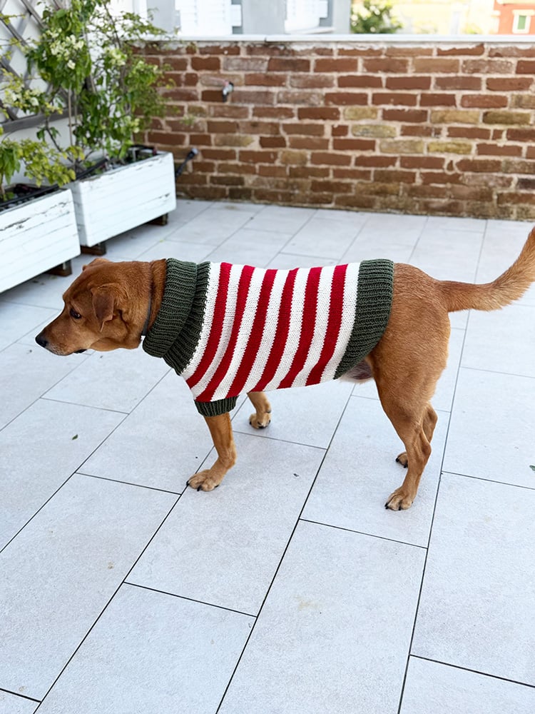 elf stripes knitted dog sweater