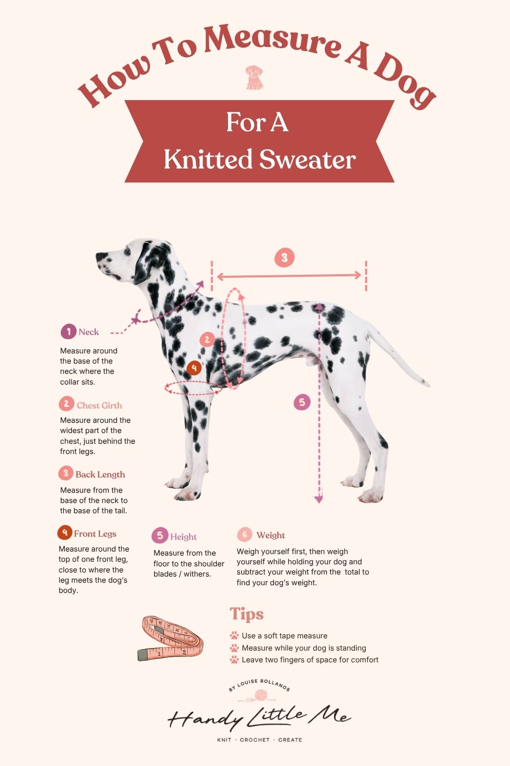 How to measure a dog for a knitted sweater graphic