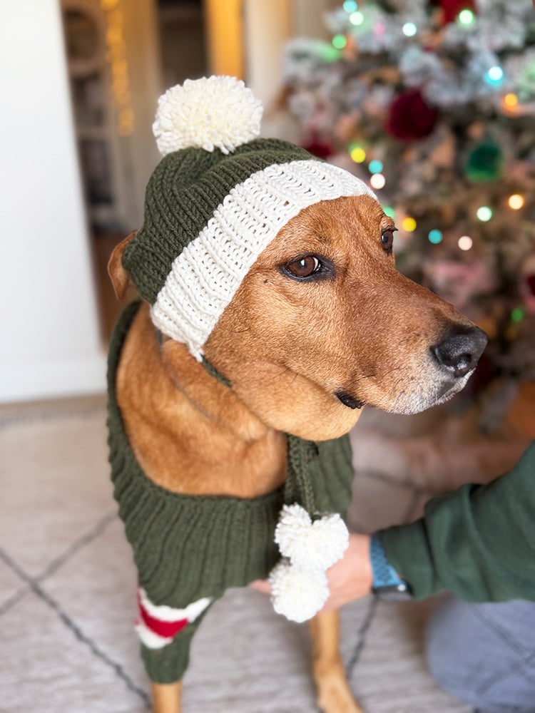 pattern for large dog hat