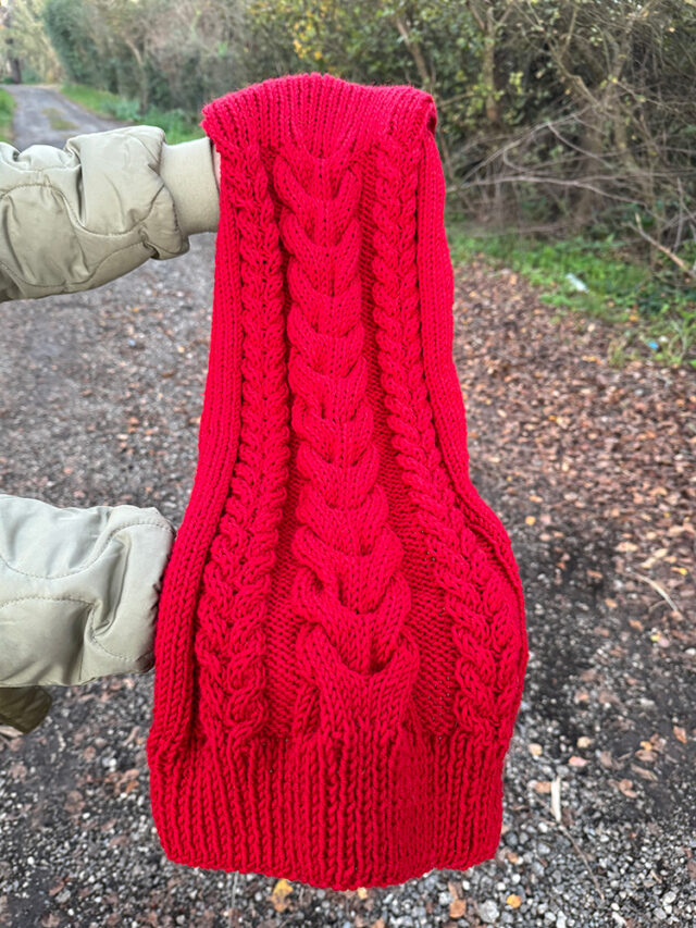 Cable Knit Dog Sweater Pattern (Knitted Turtleneck) - Handy Little Me