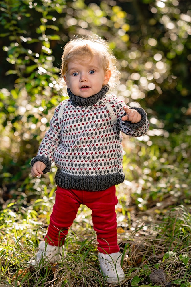 sweater pattern Norwegian traditional